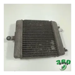 Radiador agua Suzuki SUZUKI BURGMAN 125 2007 - 2013