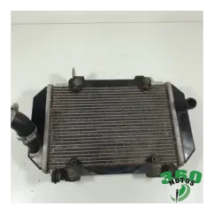 Radiador agua Kymco kYMCO AK 550 2017 - 2021