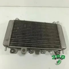 Radiador agua PIAGGIO PIAGGIO X9 125 2000 - 2003