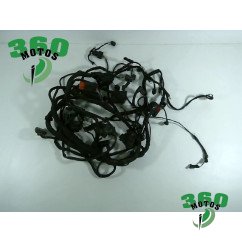 Sistema Electrico Principal BMW F 900 R 2019 - 2024