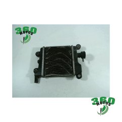 RADIADOR AGUA Ymamaha YAMAHA MAJESTY 125 S 2014 - 2015