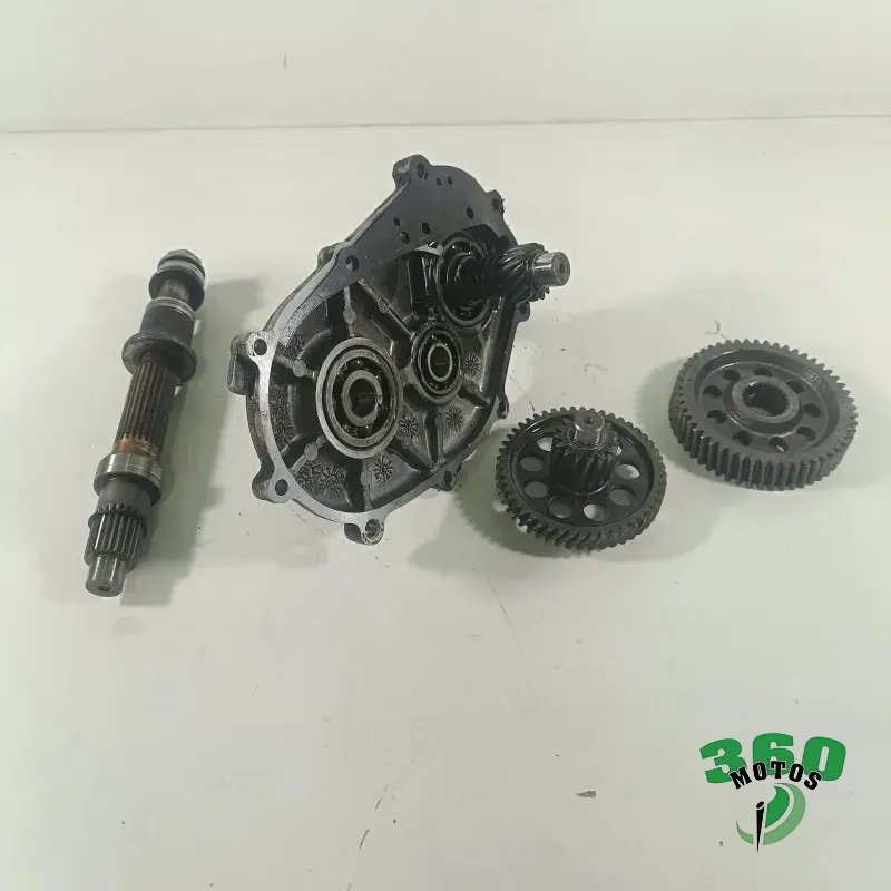 Desarrollo trasero Desarrollo trasero