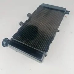 Radiador agua Honda NC750X 2016 - 2020
