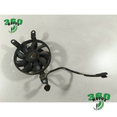 Electroventalidor