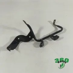 Araña radiador