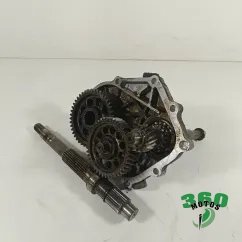 Grupo trasero