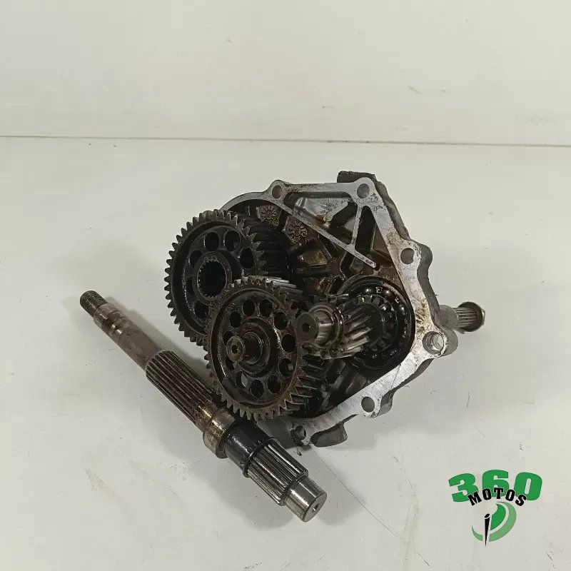 Grupo trasero Grupo trasero