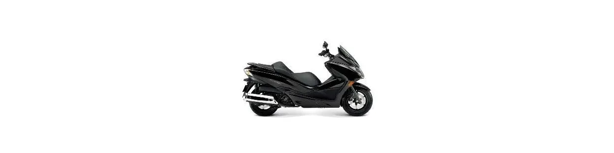 Honda Forza 250 EX 2005-07 Recambios Ocasion | 90% Dto