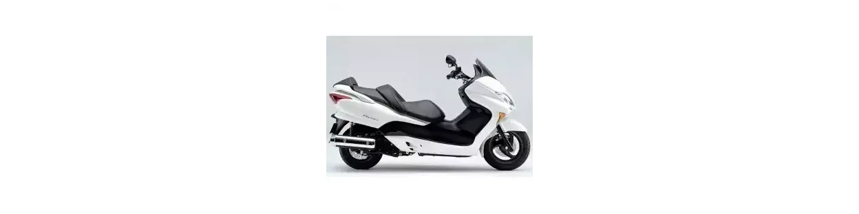 Honda Forza 250 EX 2005-07 Automática Piezas | Garantía