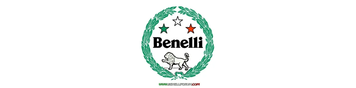 Recambios Benelli de Segunda Mano | Motos 360