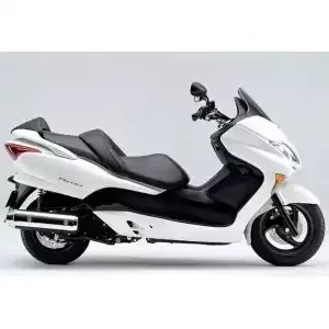 HONDA FORZA 250 X 2005 - 2007